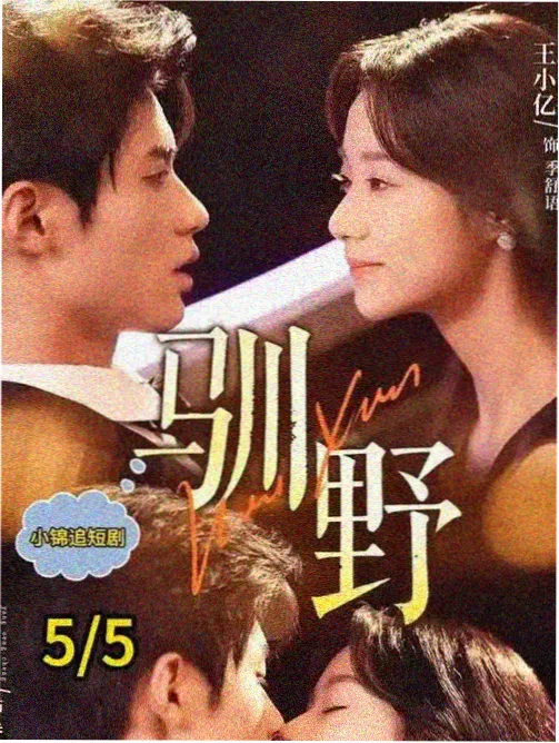 都市情感档案